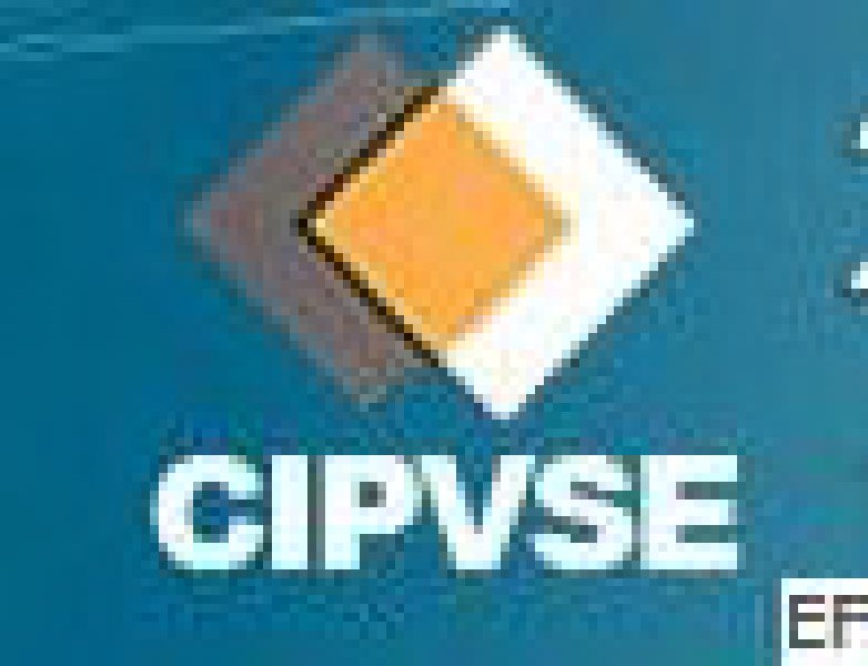 2010第十一屆(春季)中國國際泵、閥密封展覽會(huì)