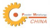 2024第十六屆中國國際粉末冶金及硬質(zhì)合金展覽會